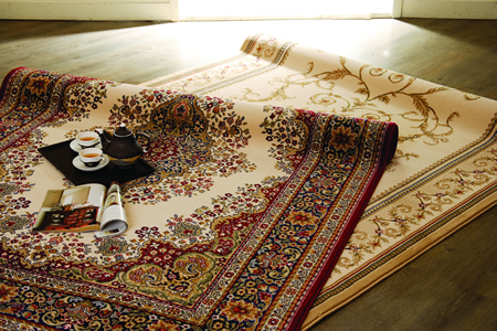 HOLA�����ݵ�̺���B(y��ng)�M�Еr