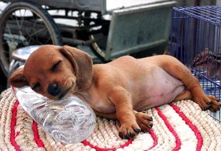 親,我想多睡一小時(shí)……