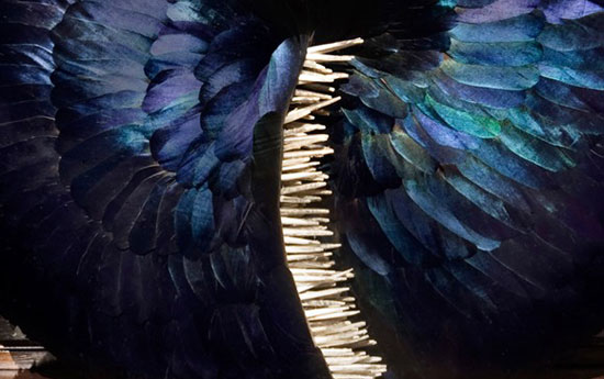 ��(chu��ng)�����}����(d��ng)ϵ����ë����