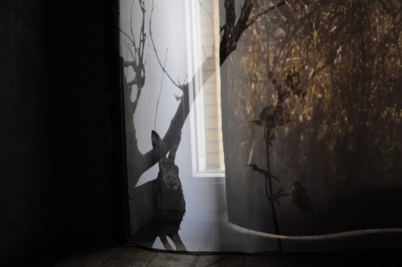 �Ӽ�С���{����3D���^����