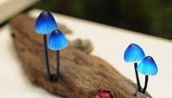 創(chuàng)新LED燈樹樁上的小蘑菇