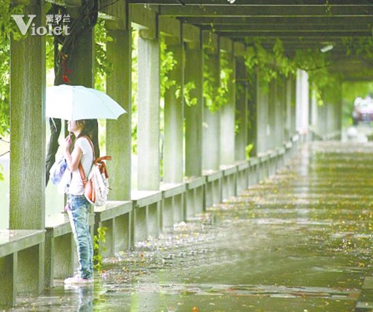 梅雨季節(jié) 紫羅蘭用心呵護您的衣食住行