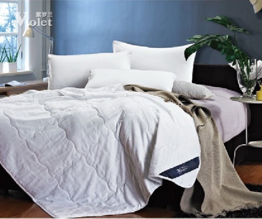 人生初見日 紫羅蘭相遇時