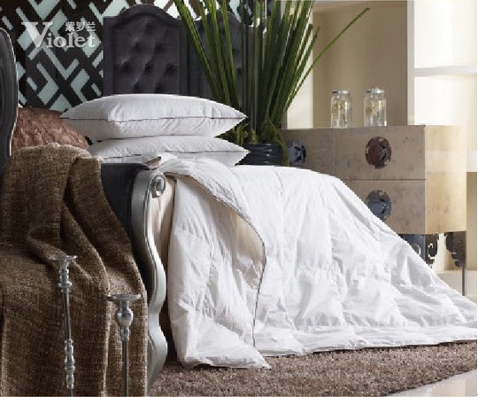 人生初見日紫羅蘭相遇時