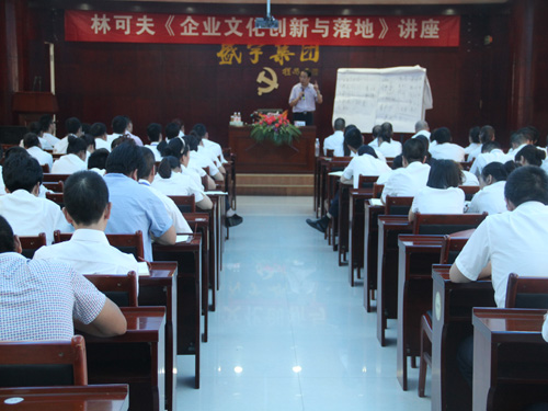盛宇集團特邀林可夫進行《企業文化創新與落地》講座
