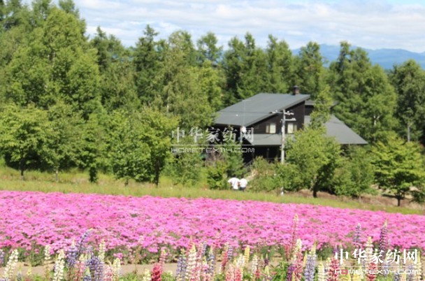 博洋家紡奏響“愛在博洋,戀上北海道”活動甜蜜曲