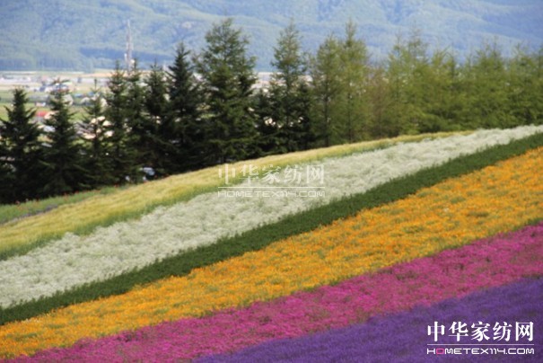 博洋家紡奏響“愛在博洋,戀上北海道”活動甜蜜曲