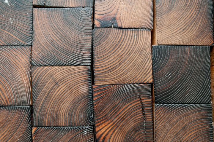 回歸自然CurvedHus創(chuàng)意造型住宅