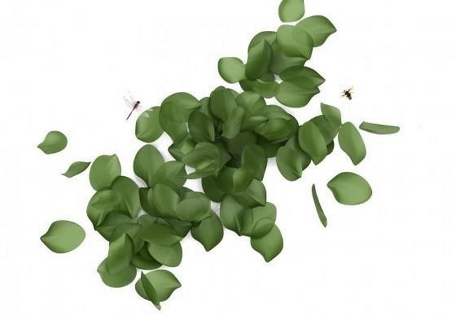 Seasons�ļ�-�����;�