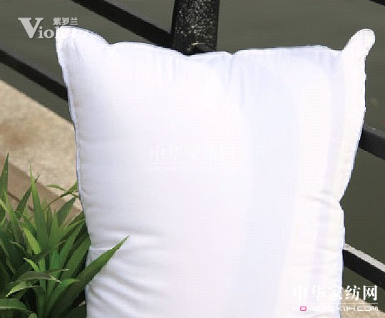 紫羅蘭守候在冬天的溫柔