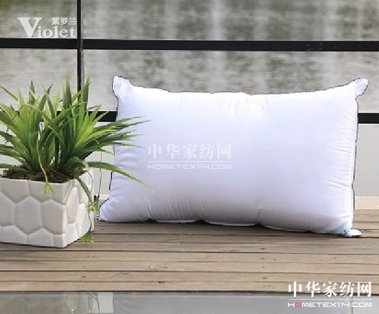 紫羅蘭守候在冬天的溫柔