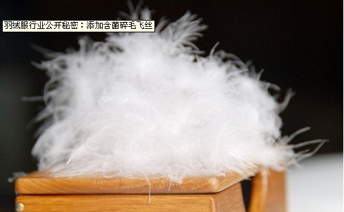 羽絨服公開(kāi)秘密:添含菌碎毛飛絲