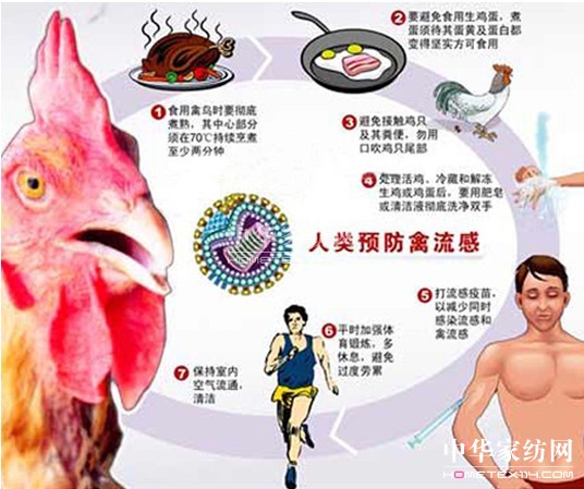 專家解讀預(yù)防指南及防護(hù)措施