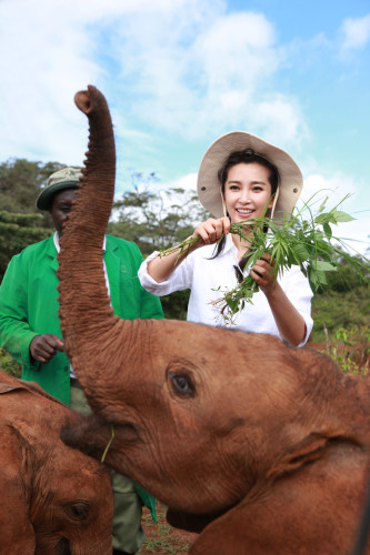 李冰冰出演"變四"引熱議非洲認養幼象