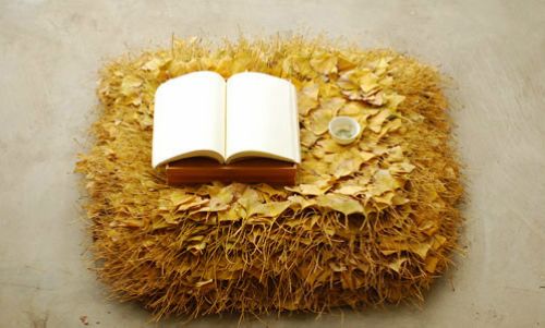 有生命的銀杏沙發