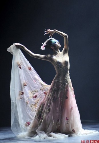 楊麗萍南昌奉獻謝幕之作