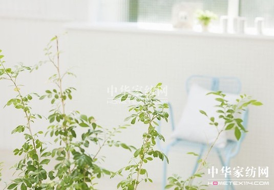 紫羅蘭家居小貼士