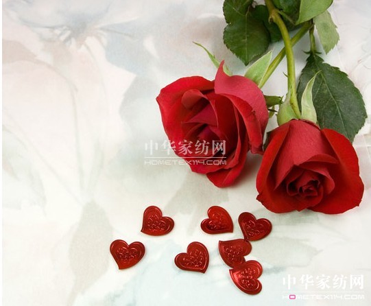 ���ռ��l�`��  ���³ɾ͠I�N