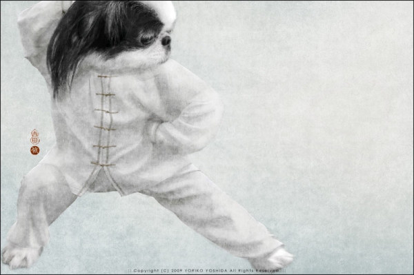 中國元素-動物臉譜