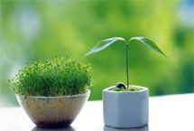 巧置秋季家居身心不“上火”