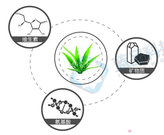 藍品:蘆薈素纖維 打造全新床品體驗