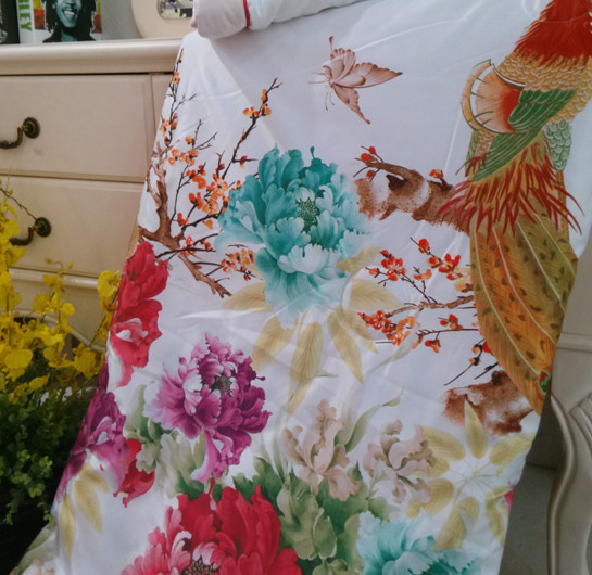 登喜鳥:春暖被芯心向光明健康常在