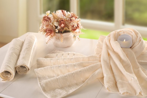 夏津縣召開(kāi)棉紡織企業(yè)家座談會(huì)