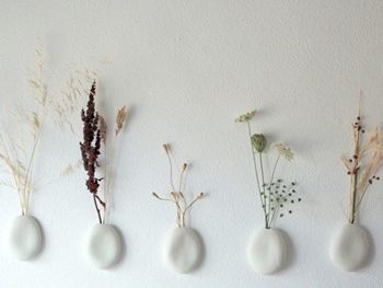 綠色植物裝點(diǎn)墻壁