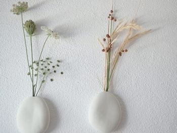 綠色植物裝點(diǎn)墻壁