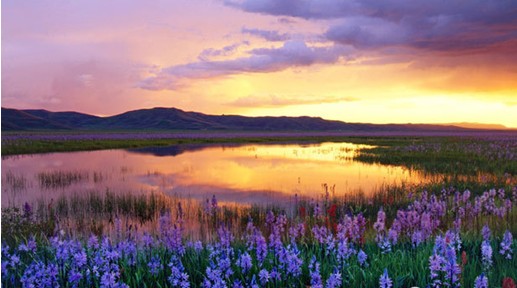 �W�ɼҼ����c����s����������