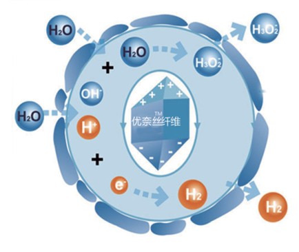 藍品科技:女性家紡,呵護美麗