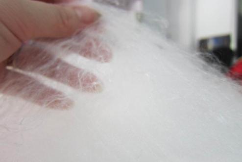 長春質(zhì)量監(jiān)測(cè)抽查中蠶絲被八成不合格