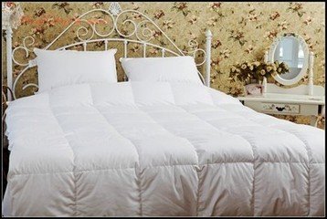 牢記6點輕松選購羽絨被