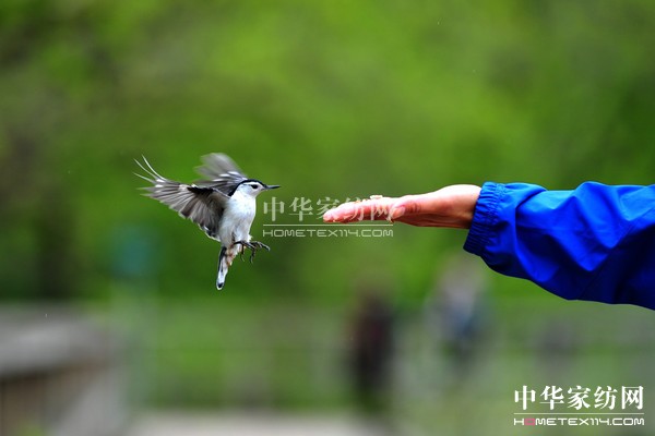 導(dǎo)購如何獲得顧客的信任感?