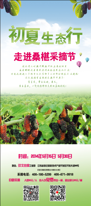 玖久絲綢首屆桑葚采摘節盛大開啟