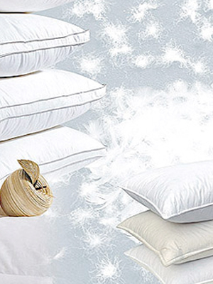 秋冬熱點羽絨家紡四大品牌