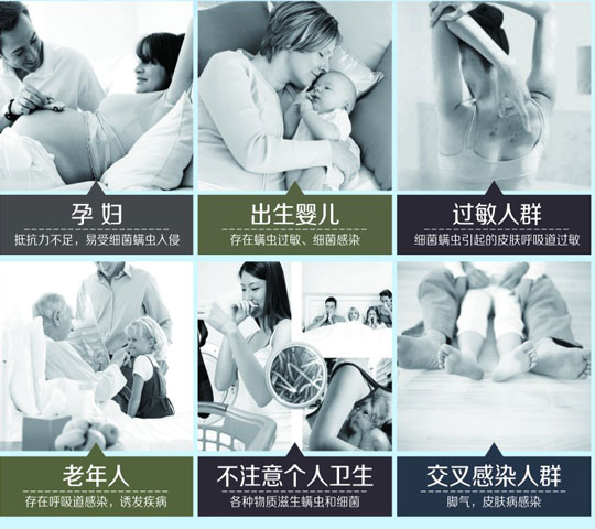 消除蟲螨 維護健康睡眠微環(huán)境