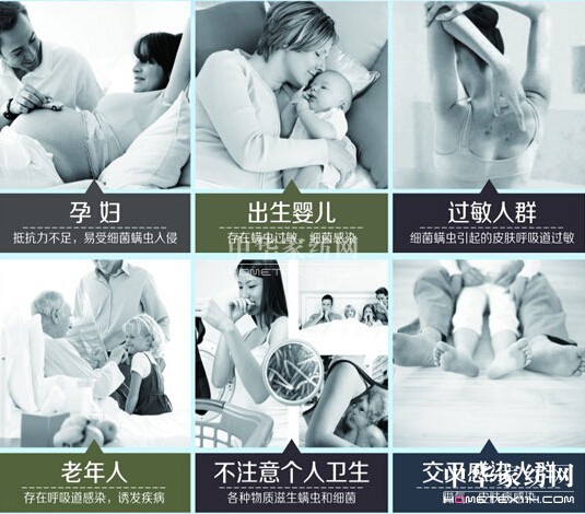 床品螨蟲細菌危及生命抗菌防螨很有必要