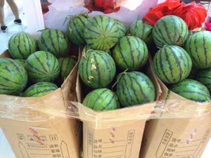 �W�ɼҼ�ƽ�ȵ�������}(c��ng)���M(j��n)������