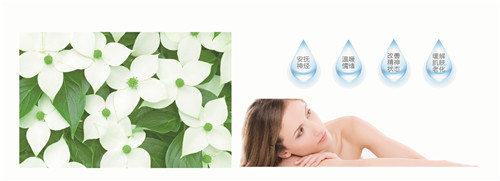 納米芳香盧卡纖維——權威檢測,安全可靠