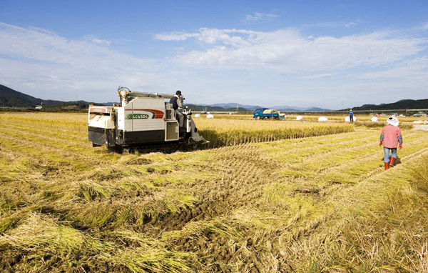 京東下鄉接地氣 發展農村市場