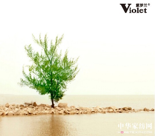 紫羅蘭家紡:打響生機(jī)革命第一槍