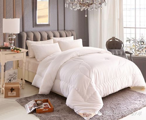 盛宇家紡秋冬新品“被你所愛”被芯系列