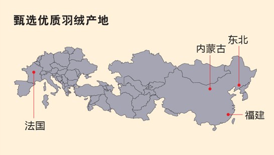 艾萊依家紡:一條絕世羽絨被是如何煉成