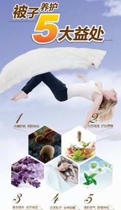 艾萊依家紡:一條絕世羽絨被是如何煉成