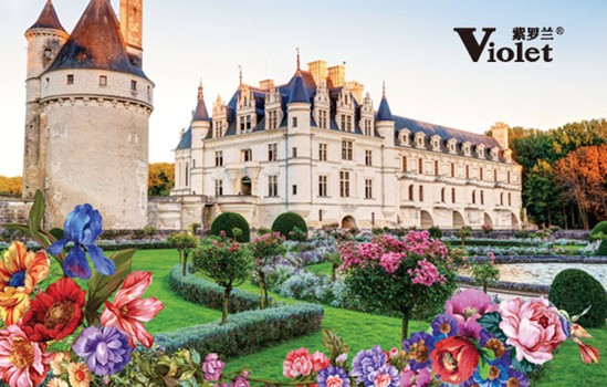 紫羅蘭家紡20周年慶典榮耀開啟