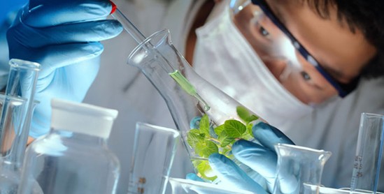 紫羅蘭生機(jī)家紡:睡眠中的空氣維生素-負(fù)氧離子