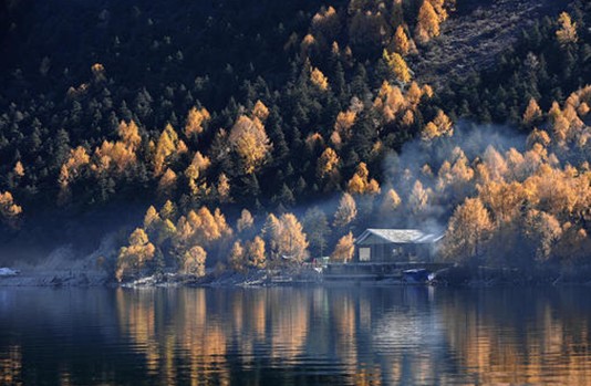 紫羅蘭生機(jī)家紡:睡眠中的空氣維生素-負(fù)氧離子