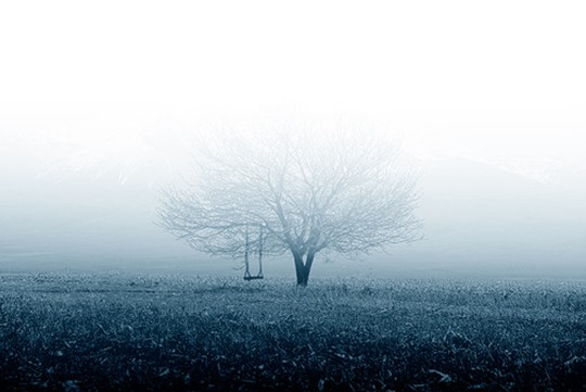 紫羅蘭生機(jī)家紡:睡眠中的空氣維生素-負(fù)氧離子