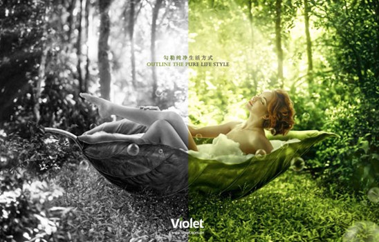 紫羅蘭•詩人的靈魂:愛,就是純粹、干凈